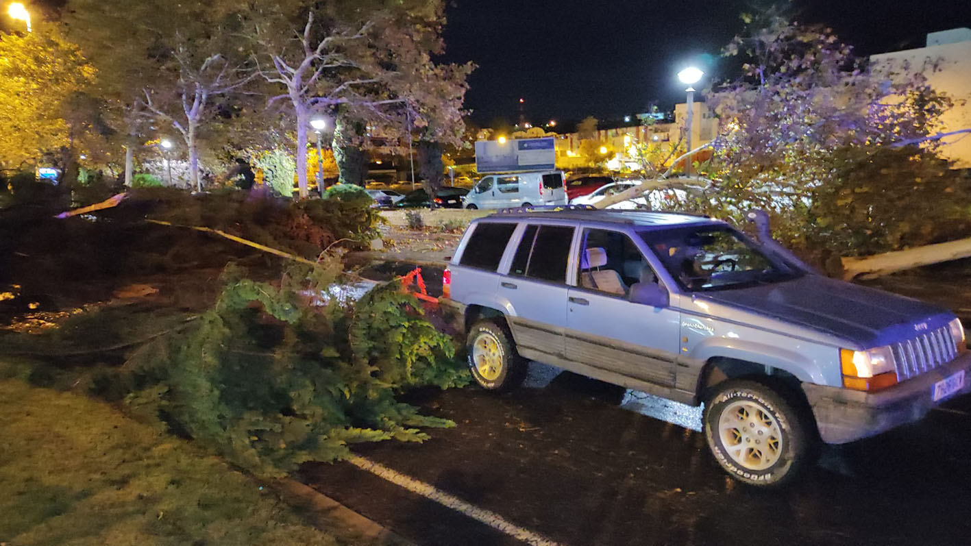 Jeep Grand Cherokee del Club HuelvAventuras 4x4 retirando un árbol caído con motivo de la borrasca Bernard.